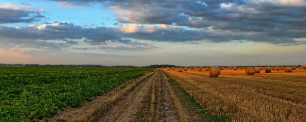 matériel agricole